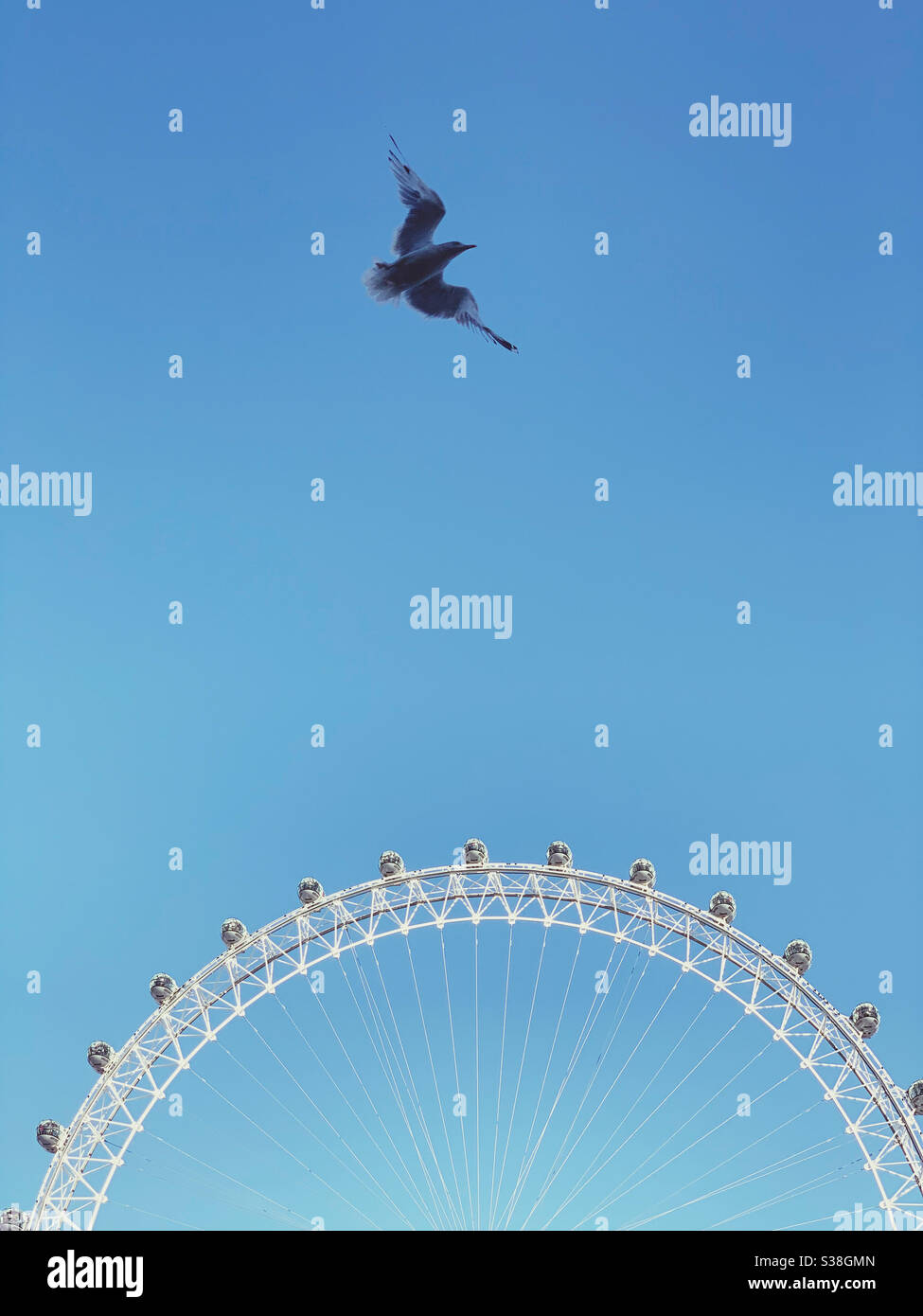 Bird flying over London eye Ferris wheel Stock Photo