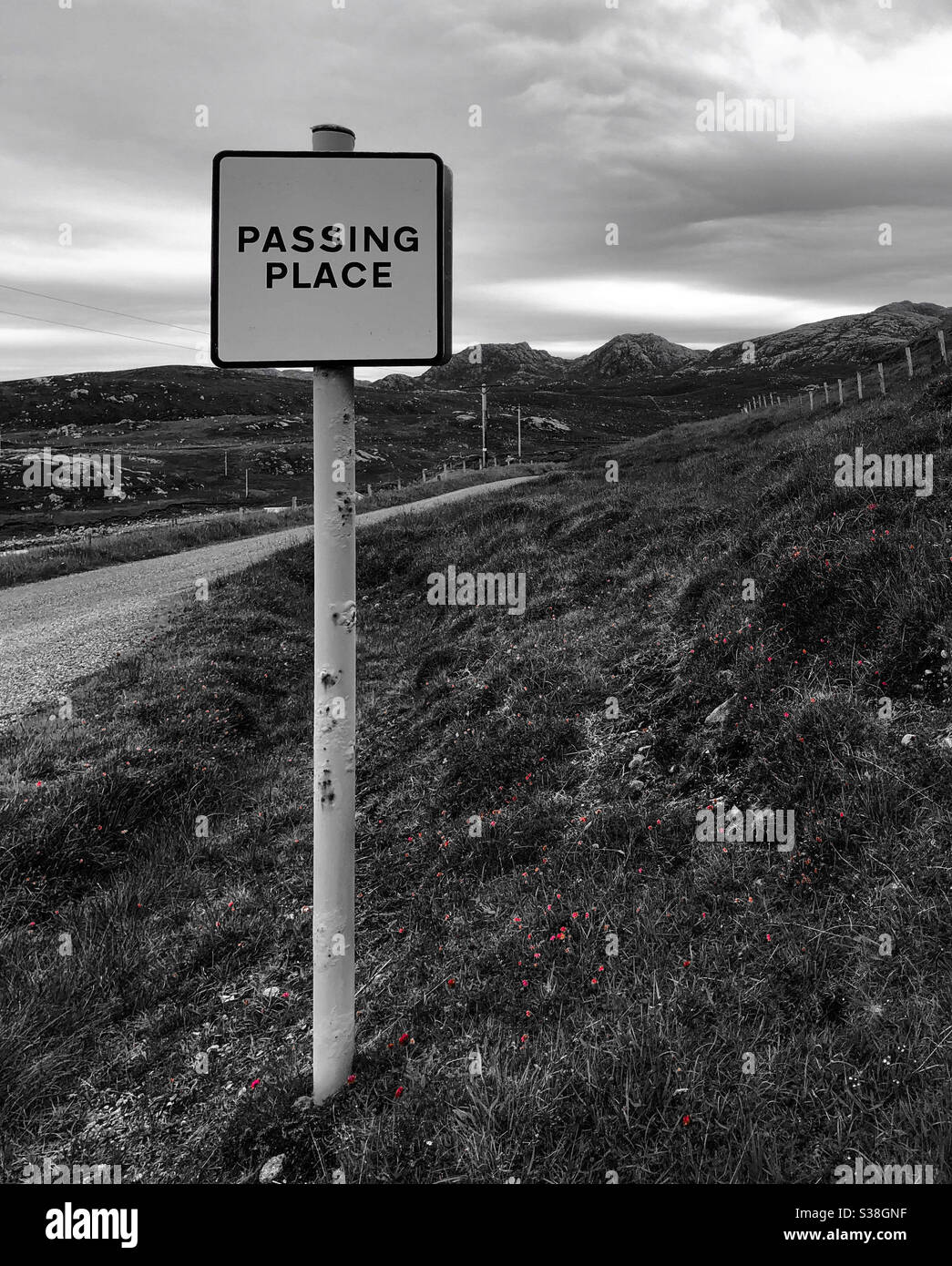 Passing place sign on single track road. Isle of Lewis, Outer Hebrides, Scotland, UK. - Smartphone Captured Stock Image
