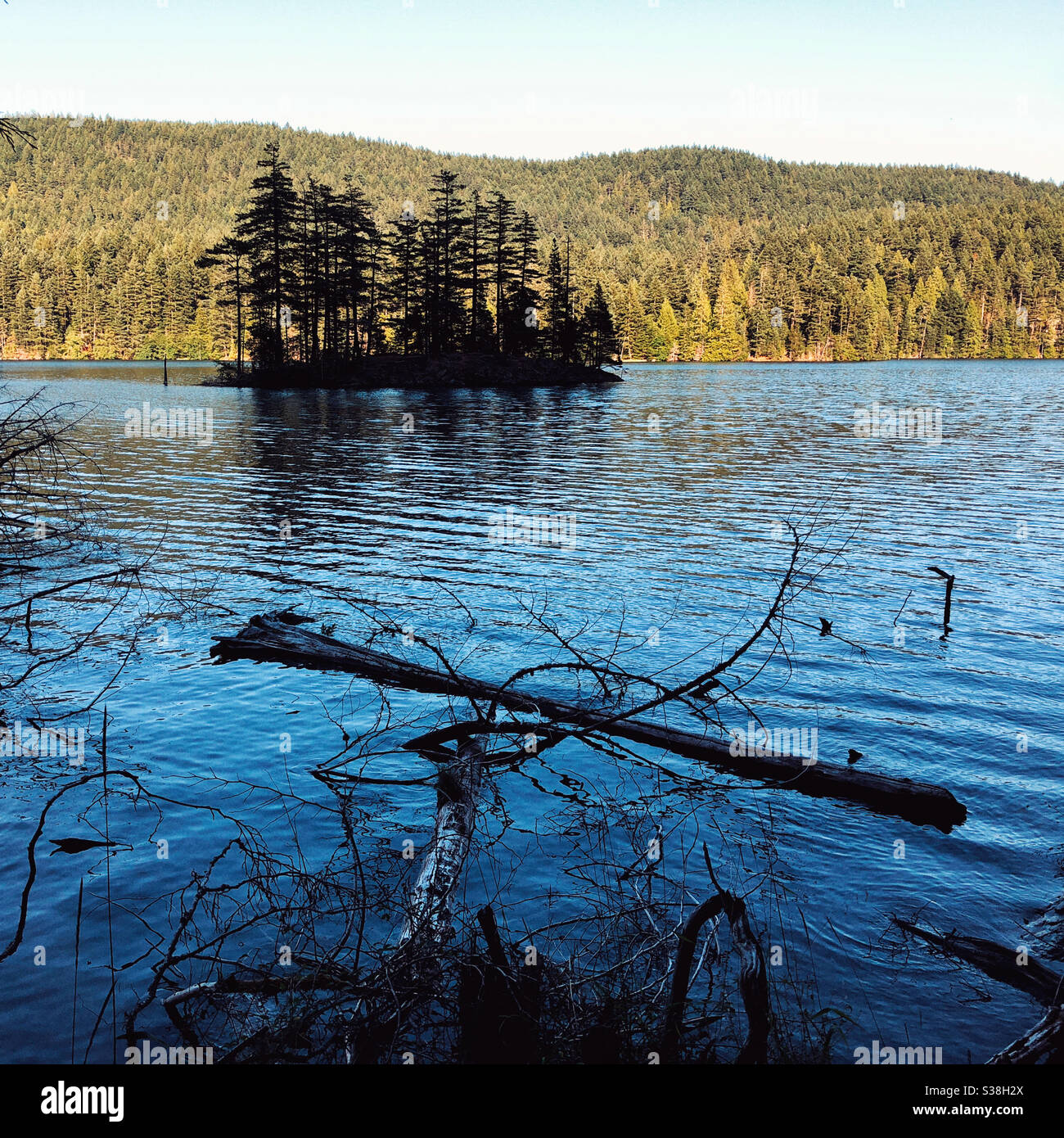 Little island on a lake - Smartphone Captured Stock Image