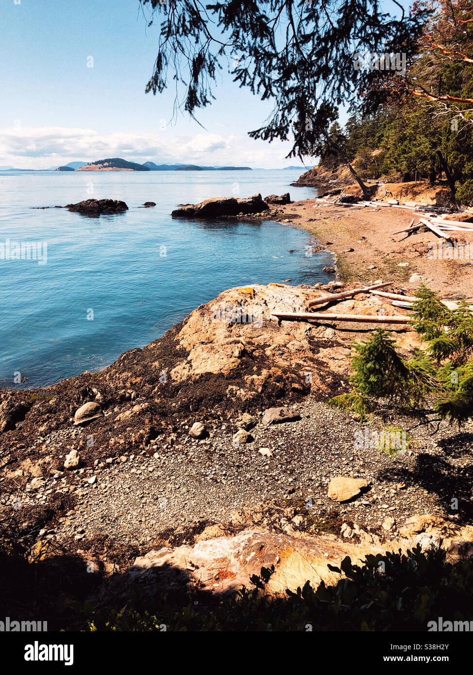 Magical Jones Island in San Juan Islands archipelago - Smartphone Captured Stock Image