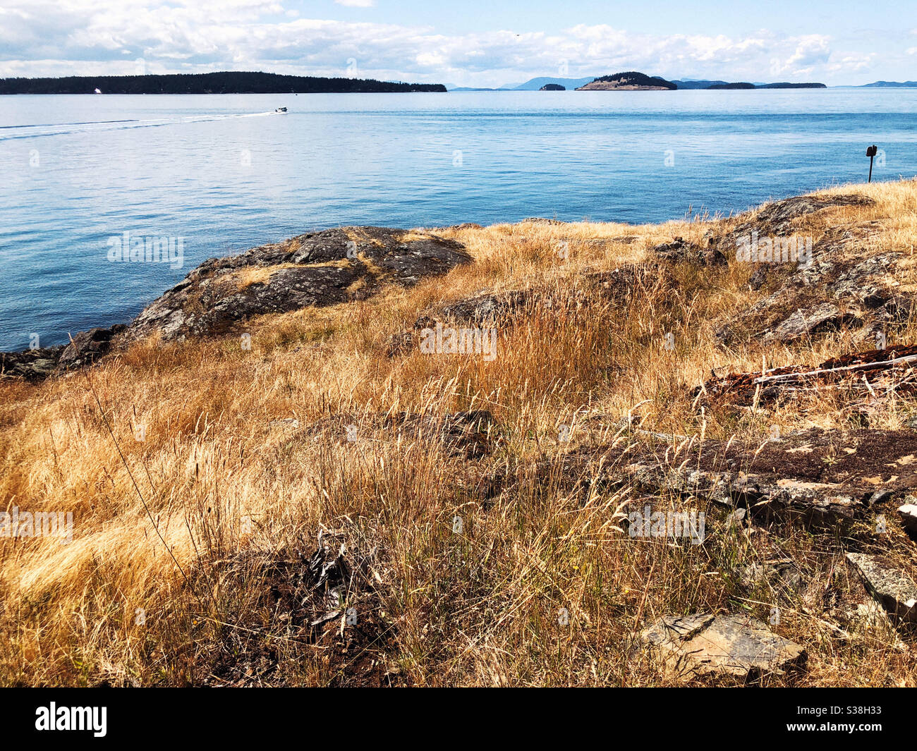 Golden dry grass on rocks of Jones Island in San Juan Islands archipelago - Smartphone Captured Stock Image