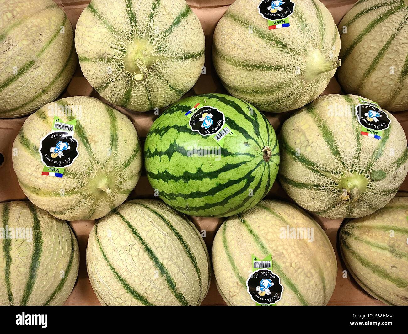 Odd one out... different French melons Stock Photo - Alamy