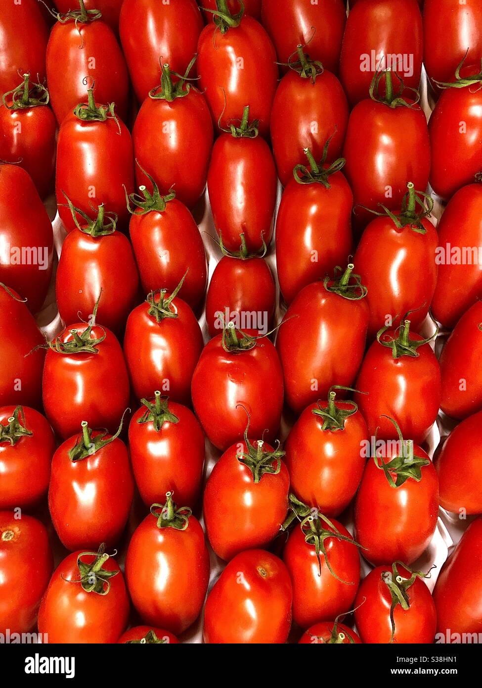 Box of long variety tomatoes. Stock Photo