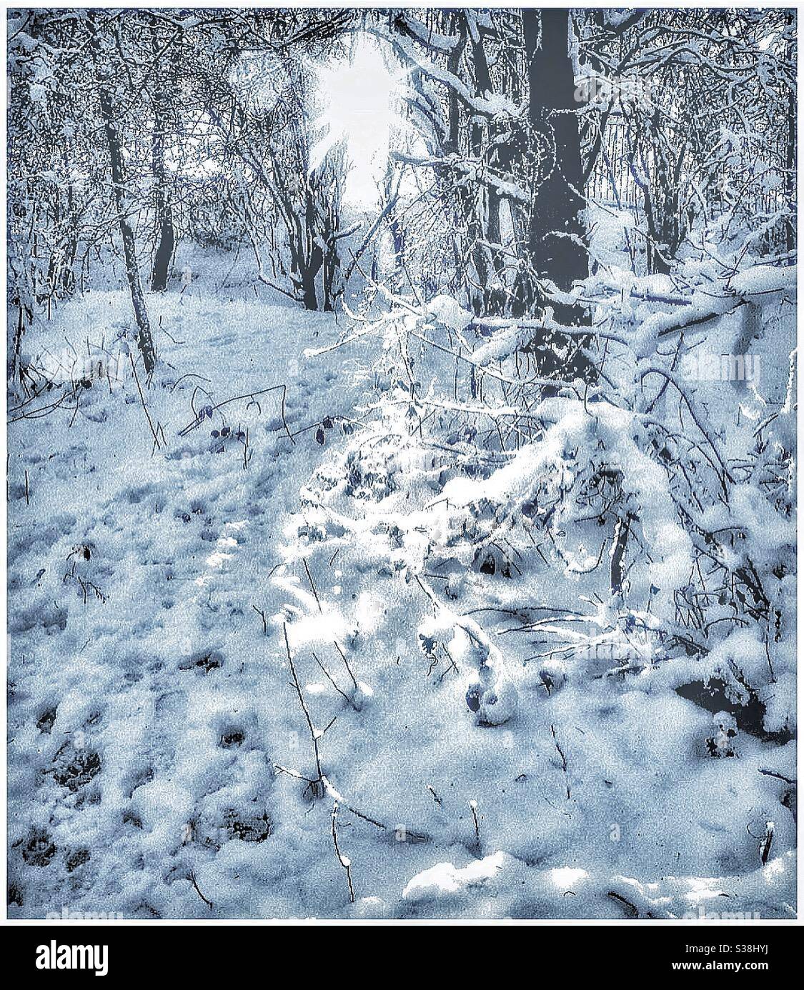 Sunshine on snow. - Smartphone Captured Stock Image