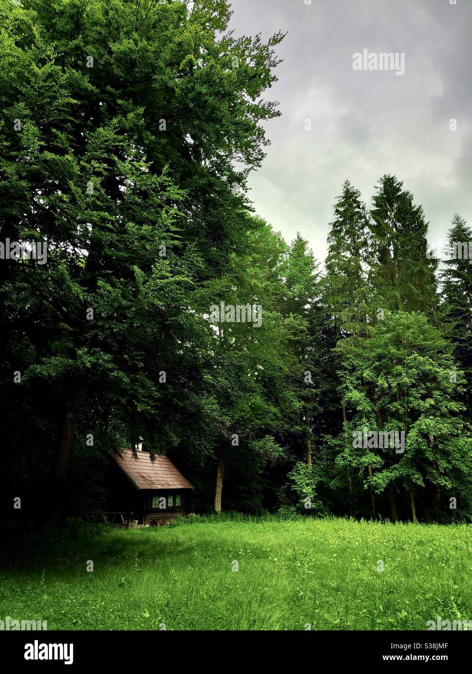 Stuttgart germany forest hi-res stock photography and images - Alamy