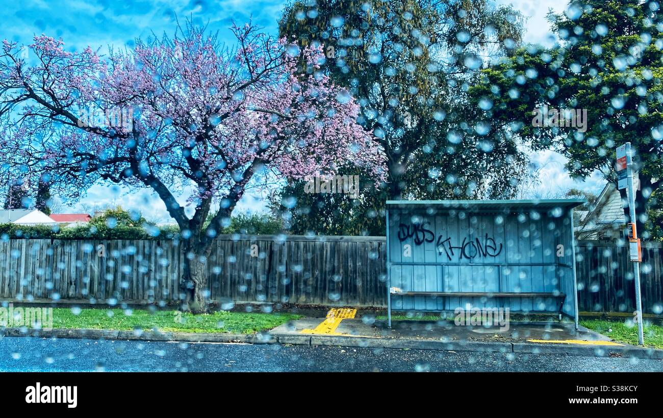 First rain - Smartphone Captured Stock Image