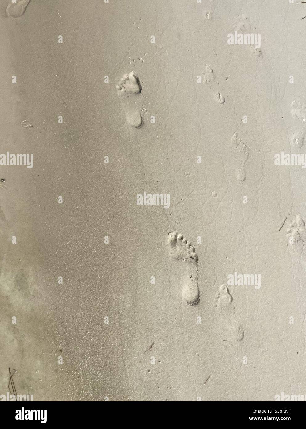 Footprints in the sand on the beach - Smartphone Captured Stock Image