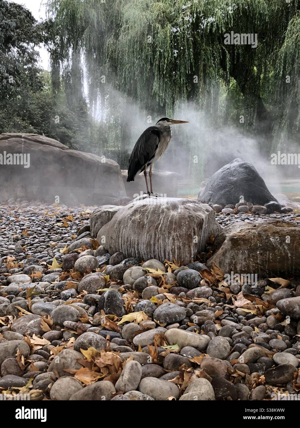 Zoo london animals bird hi-res stock photography and images - Alamy