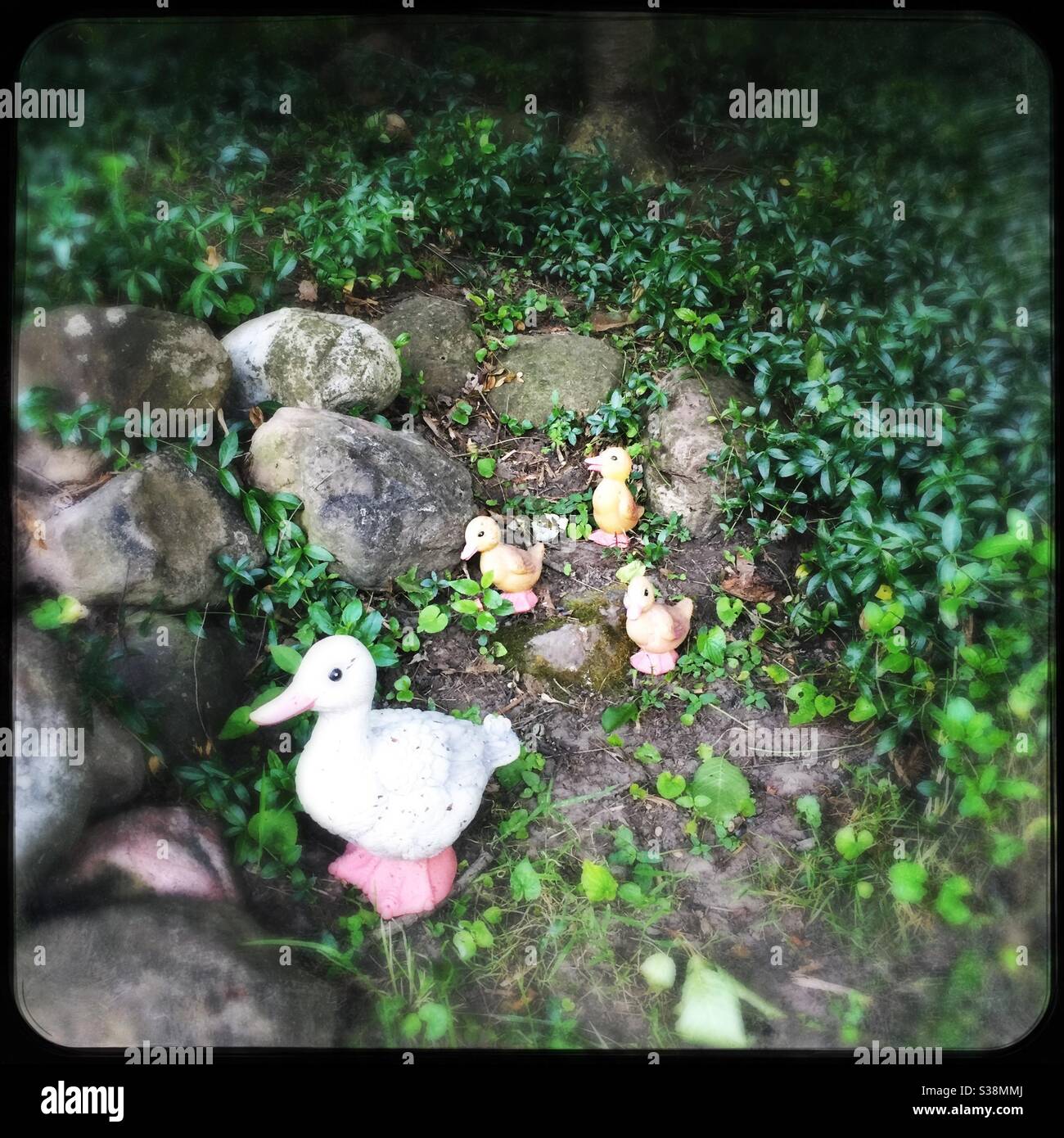 Duck family yard decorations - Smartphone Captured Stock Image
