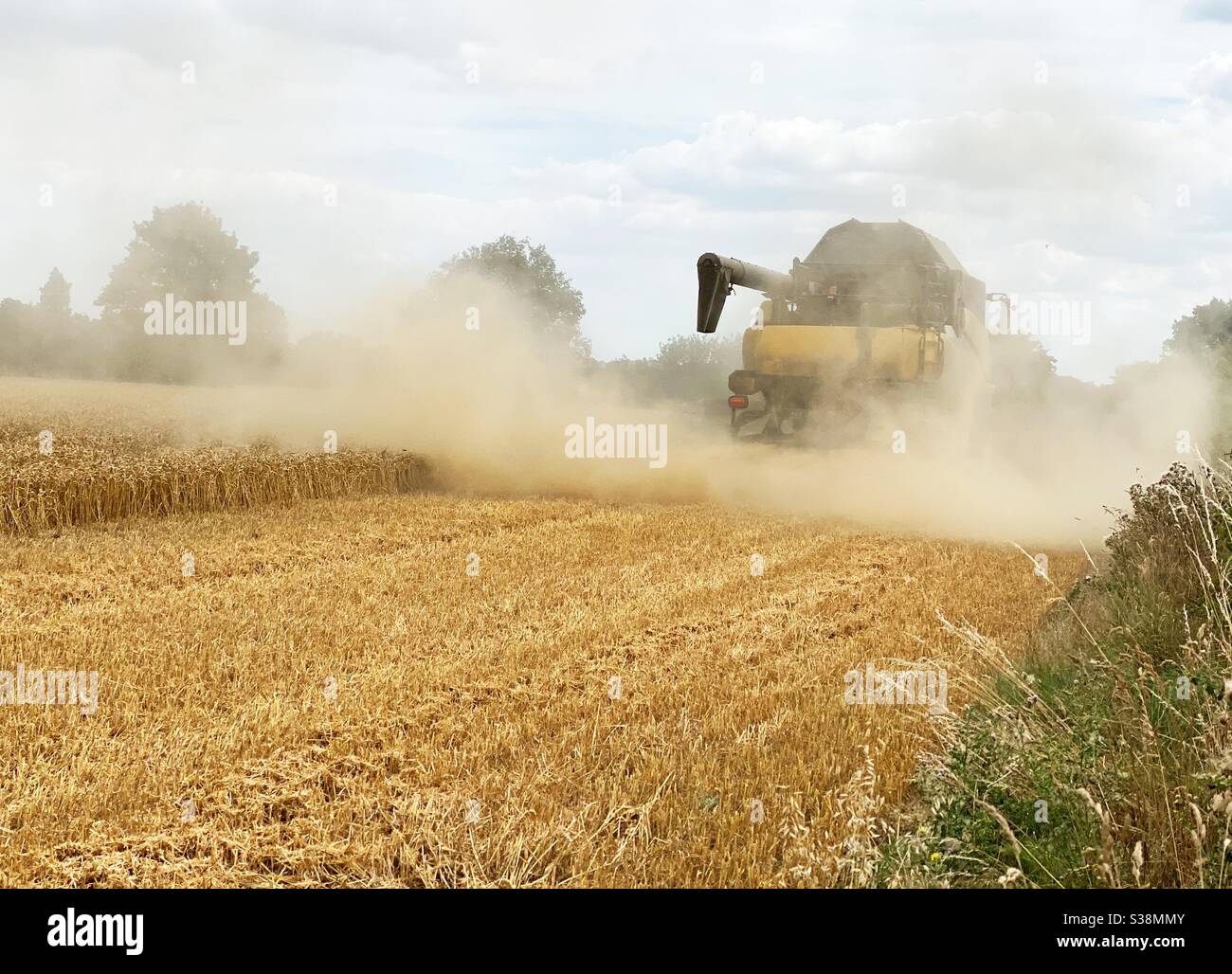 Harvesting the crops Stock Photo Alamy