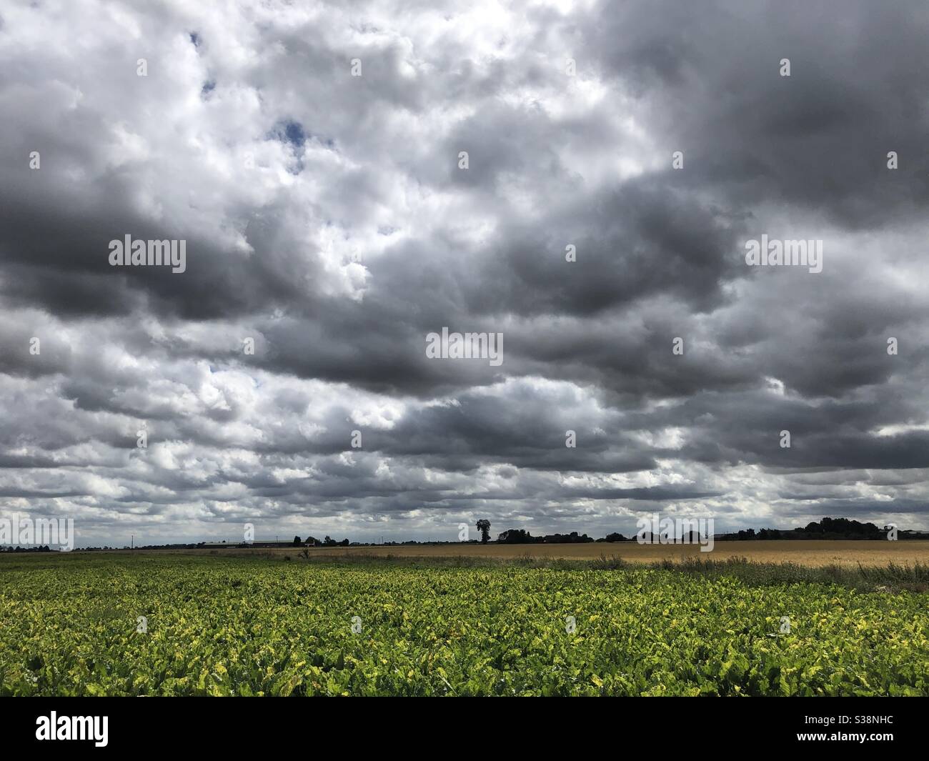 Cloudy dark sky over the flat farmland near Wisbech, Cambridgeshire, England, United Kingdom - Smartphone Captured Stock Image
