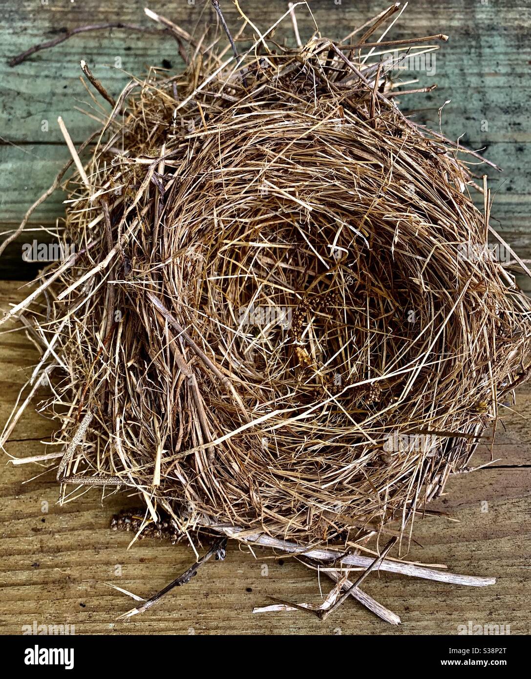 Empty Bird Nest Stock Photo Alamy