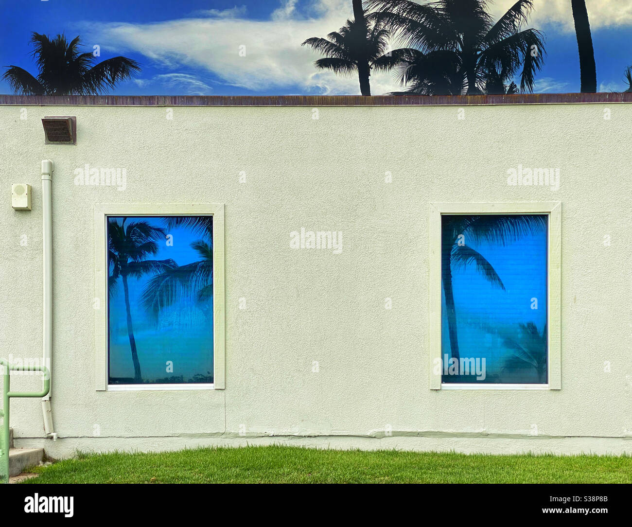 Coconut palm trees reflected in the windows and growing behind a building - Smartphone Captured Stock Image
