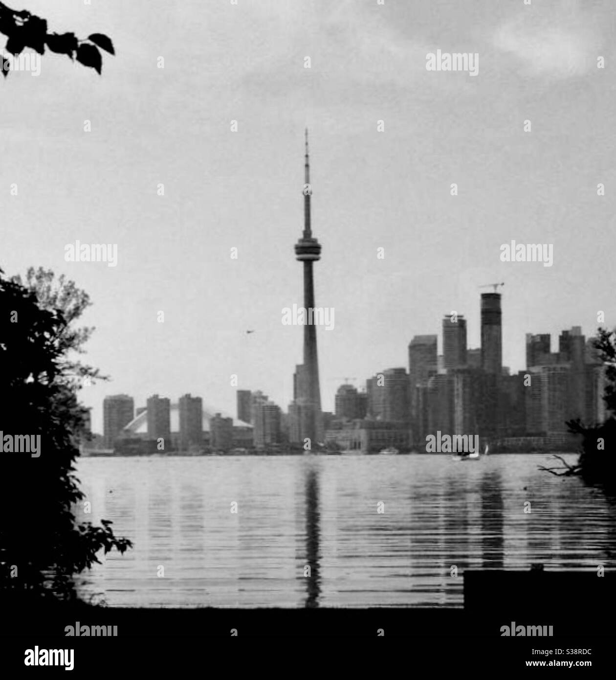 Cn tower view Black and White Stock Photos & Images - Alamy