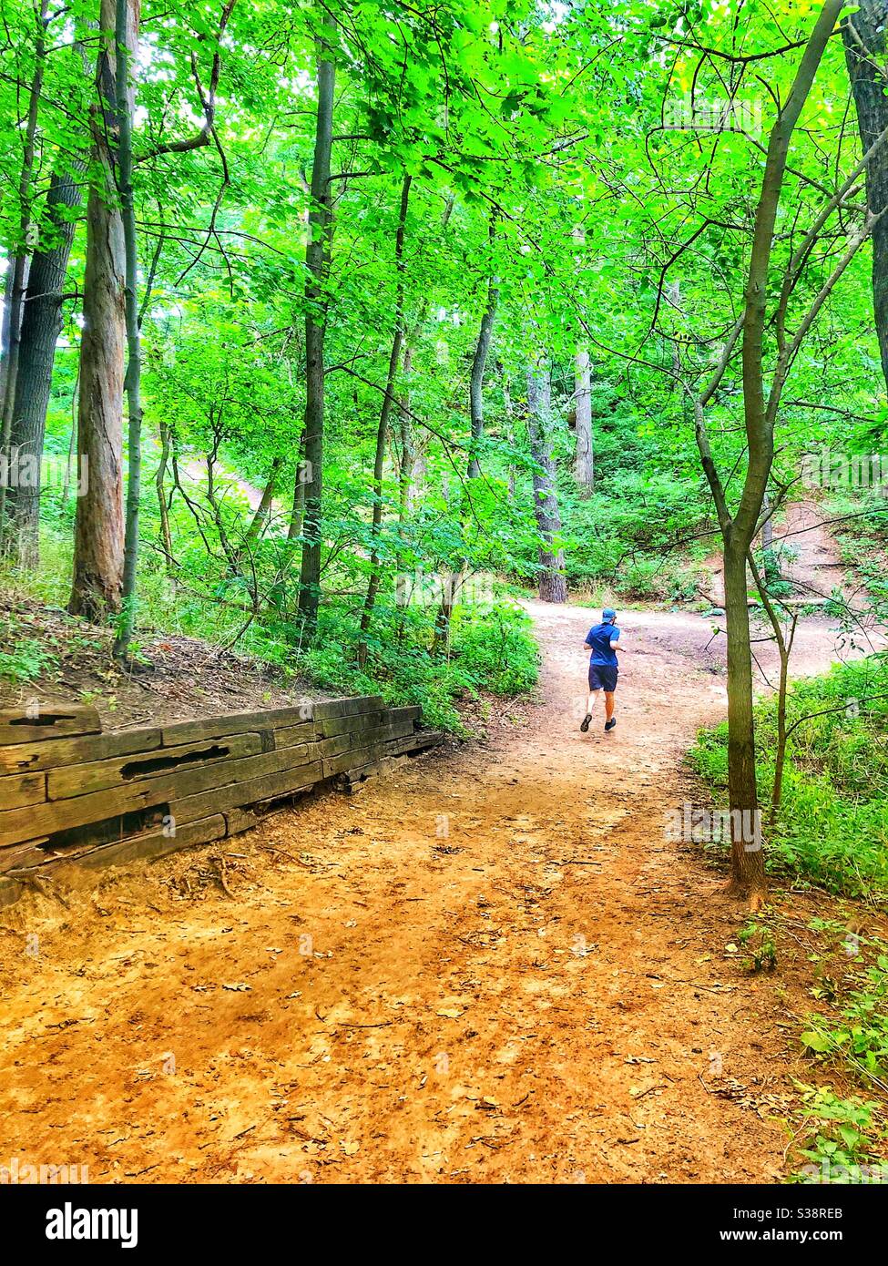 A peaceful run in the park. - Smartphone Captured Stock Image