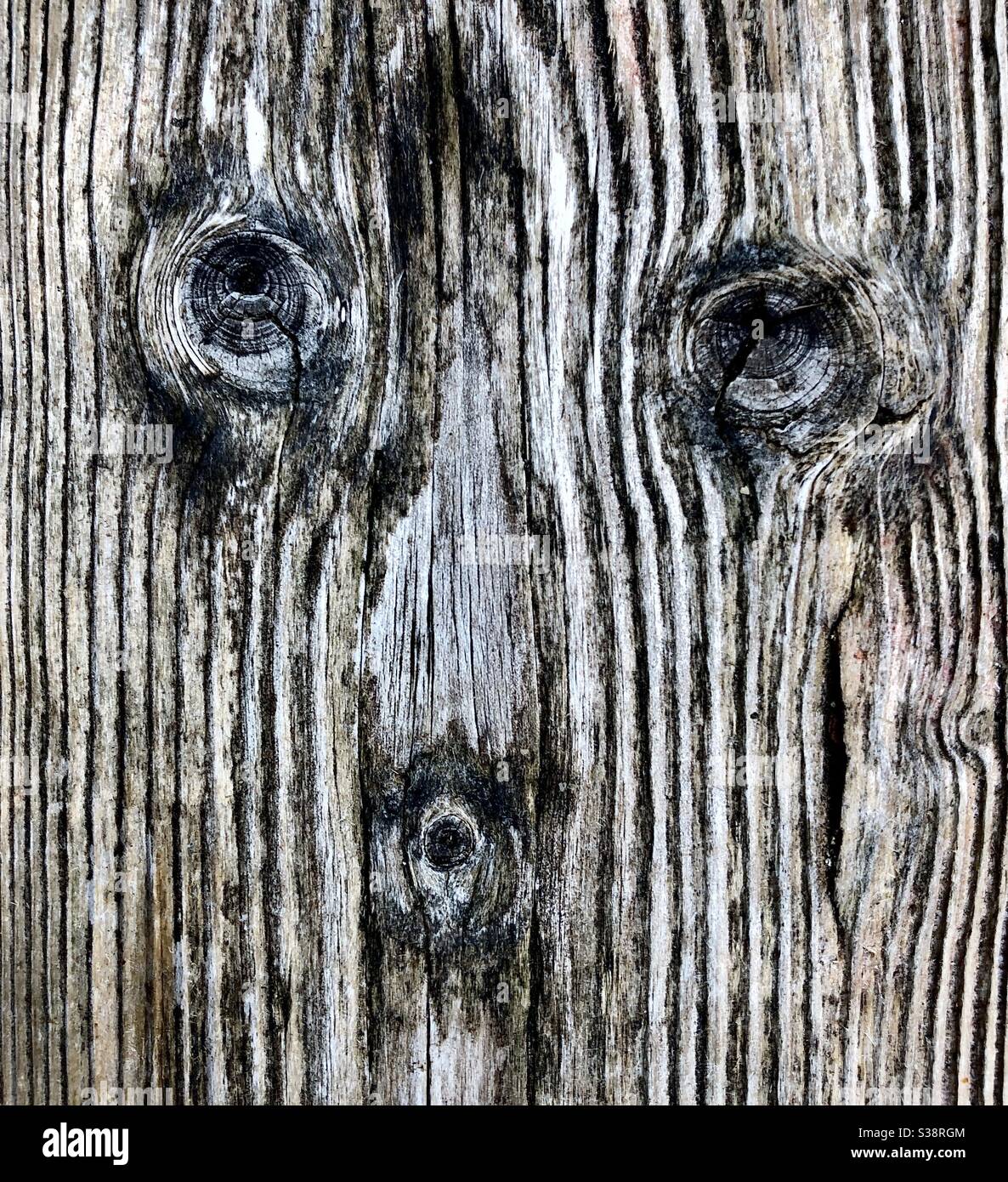 Weathered wood grain and knots resembling a monkey’s face. Stock Photo