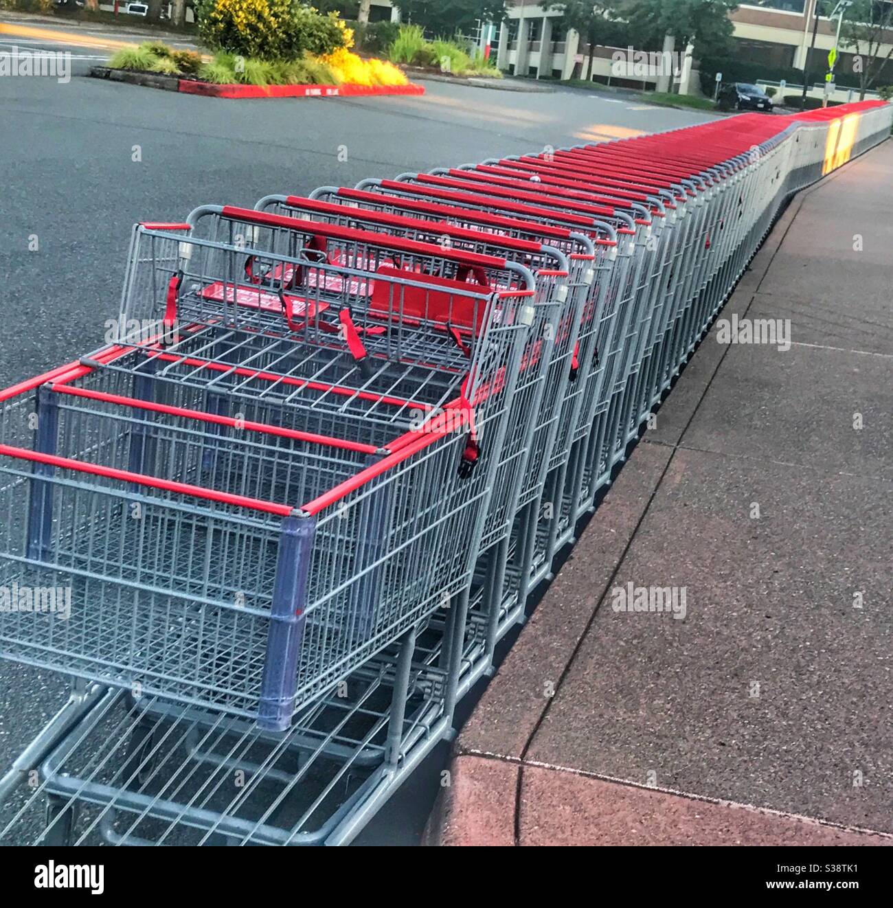 Hundreds of shopping carts sitting unused at Costco’s Stock Photo Alamy