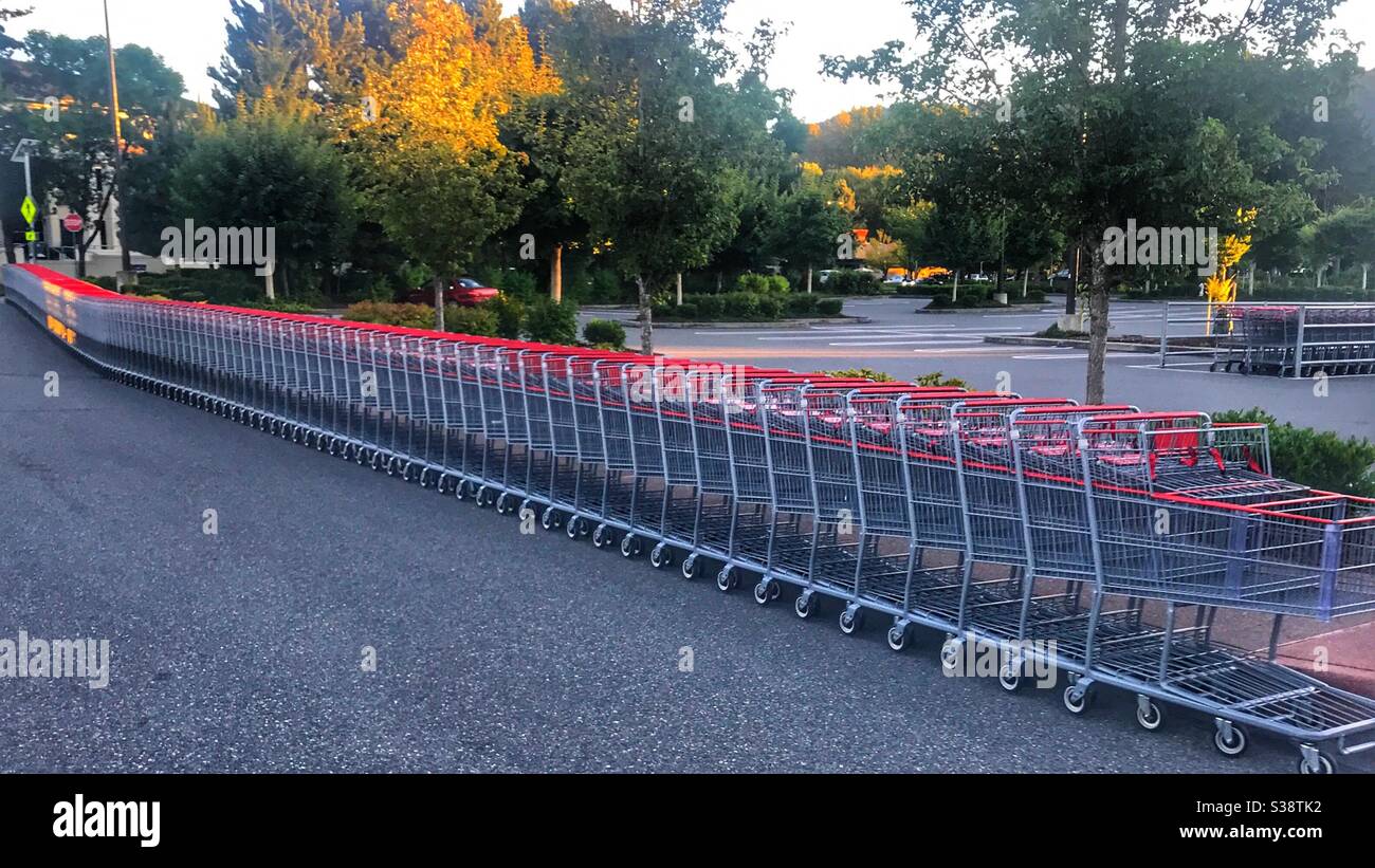 Hundreds of shopping carts sitting unused at Costco’s - Smartphone Captured Stock Image