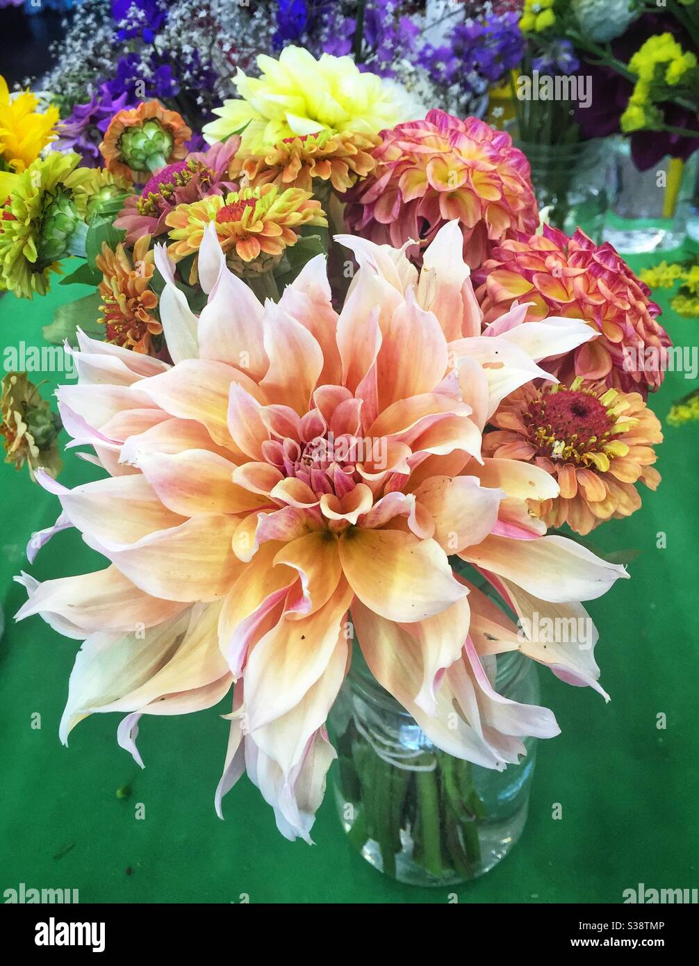 Large ‘Labyrinth’ dahlia in a flower arrangement in a glass jar. Stock Photo