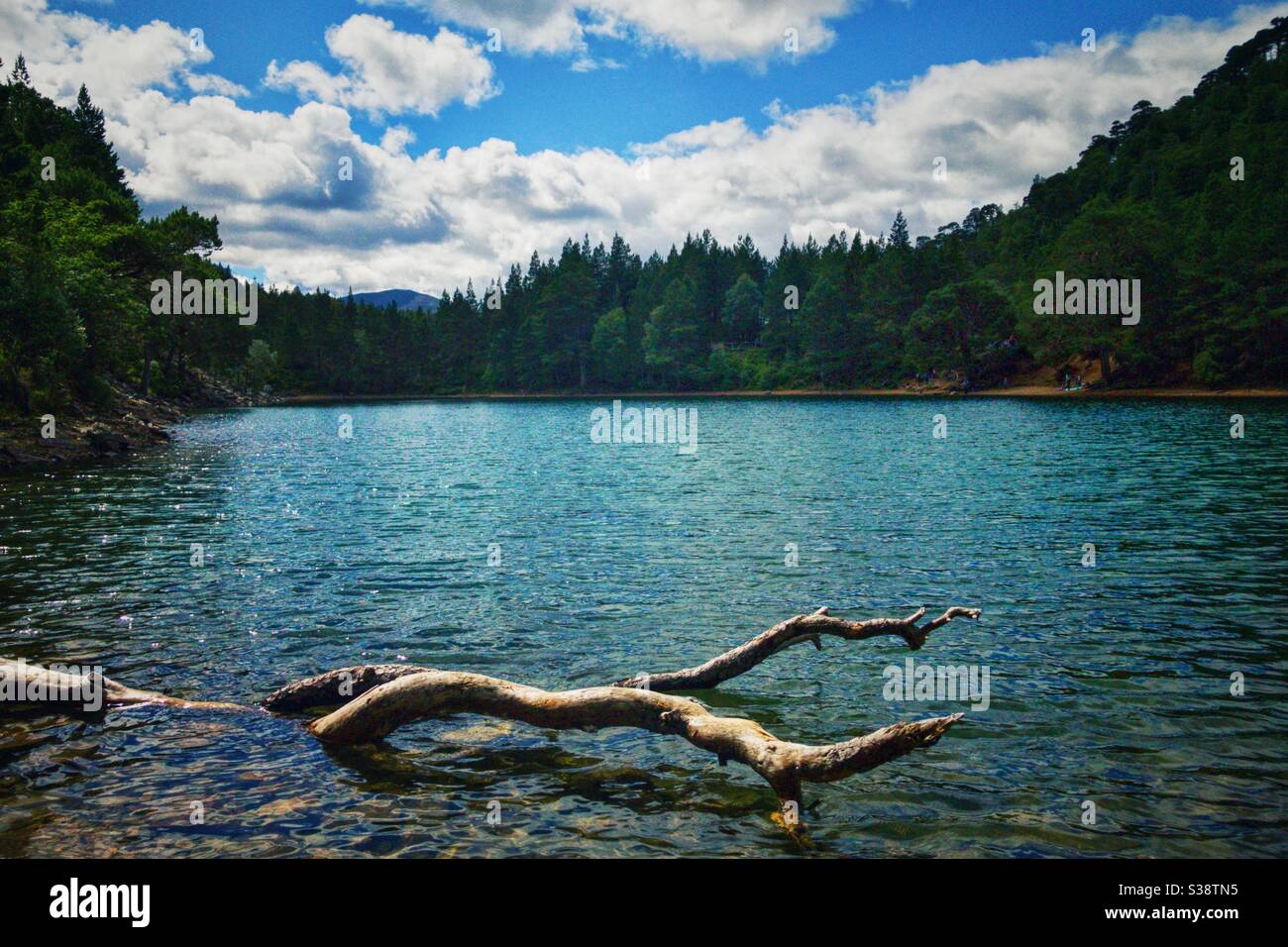 An Lochan Uaine (the green lochan) in Glenmore Forest Park, Scotland. - Smartphone Captured Stock Image