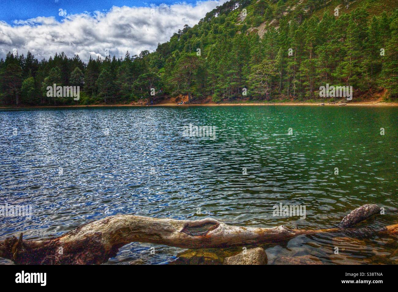 Lochan Uaine, Glenmore Forest Park