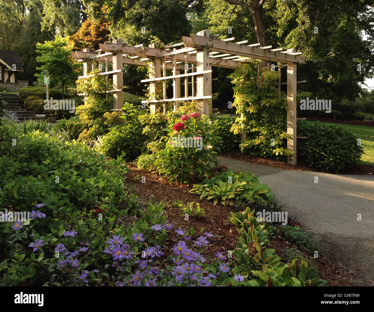 Century Gardens at Deer Lake Park in Burnaby, British Columbia, Canada, in late summer. - Smartphone Captured Stock Image