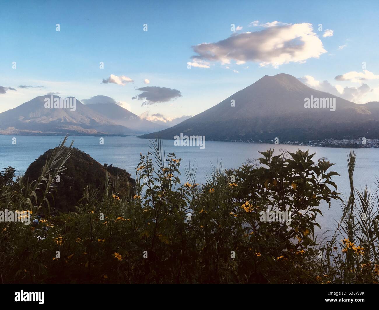 Volcanoes surrounding lake with flowers. Lago de Atitlan, Guatemala. Stock Photo