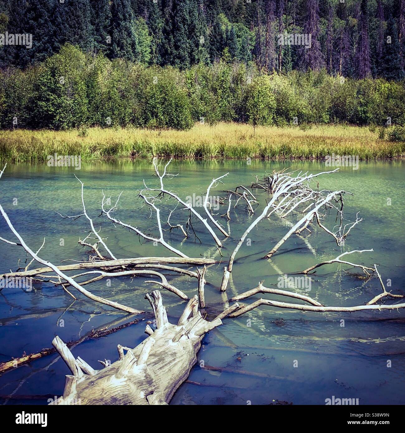 Opal lake hires stock photography and images Alamy