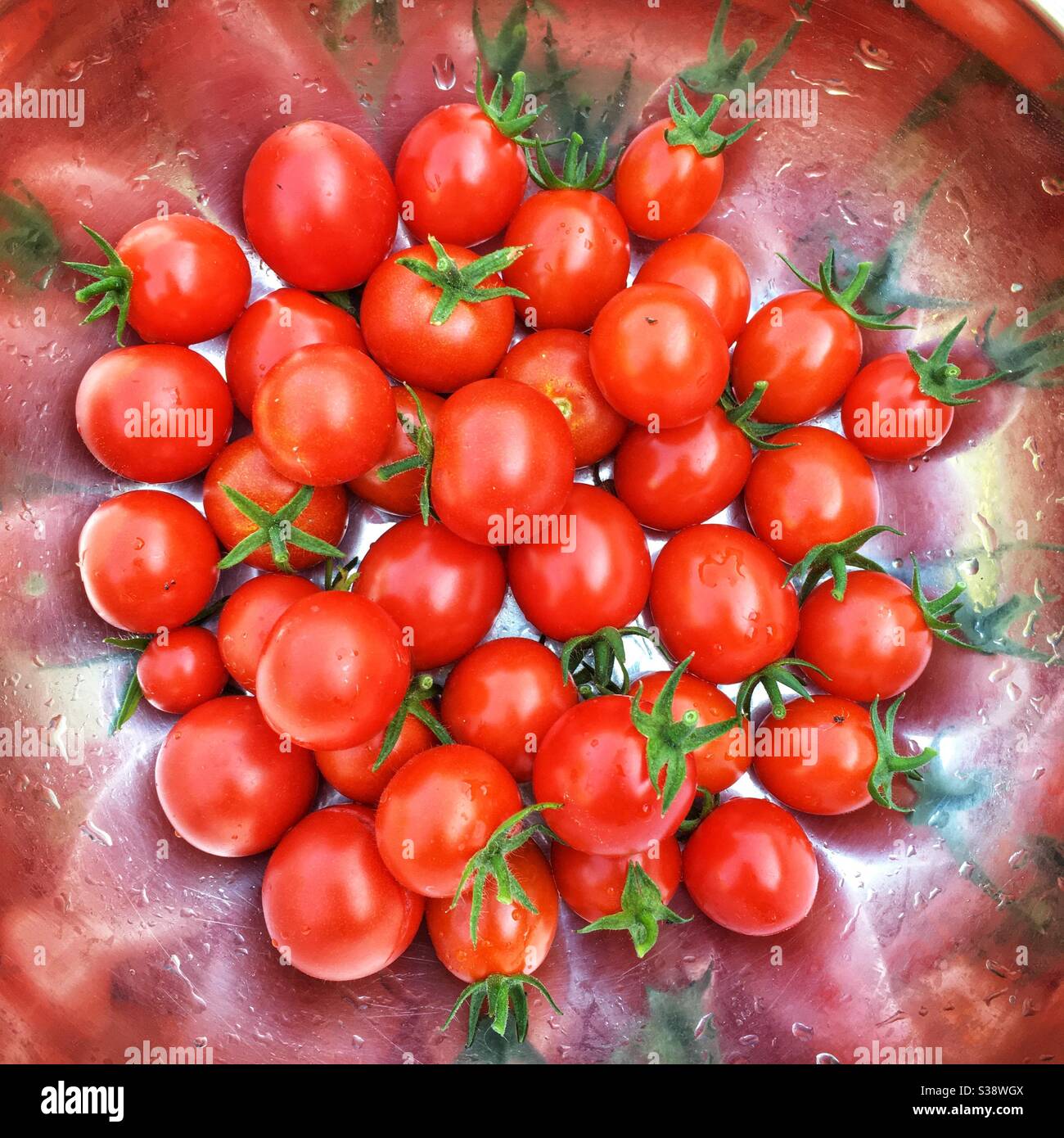 Homegrown cherry tomatoes Stock Photo