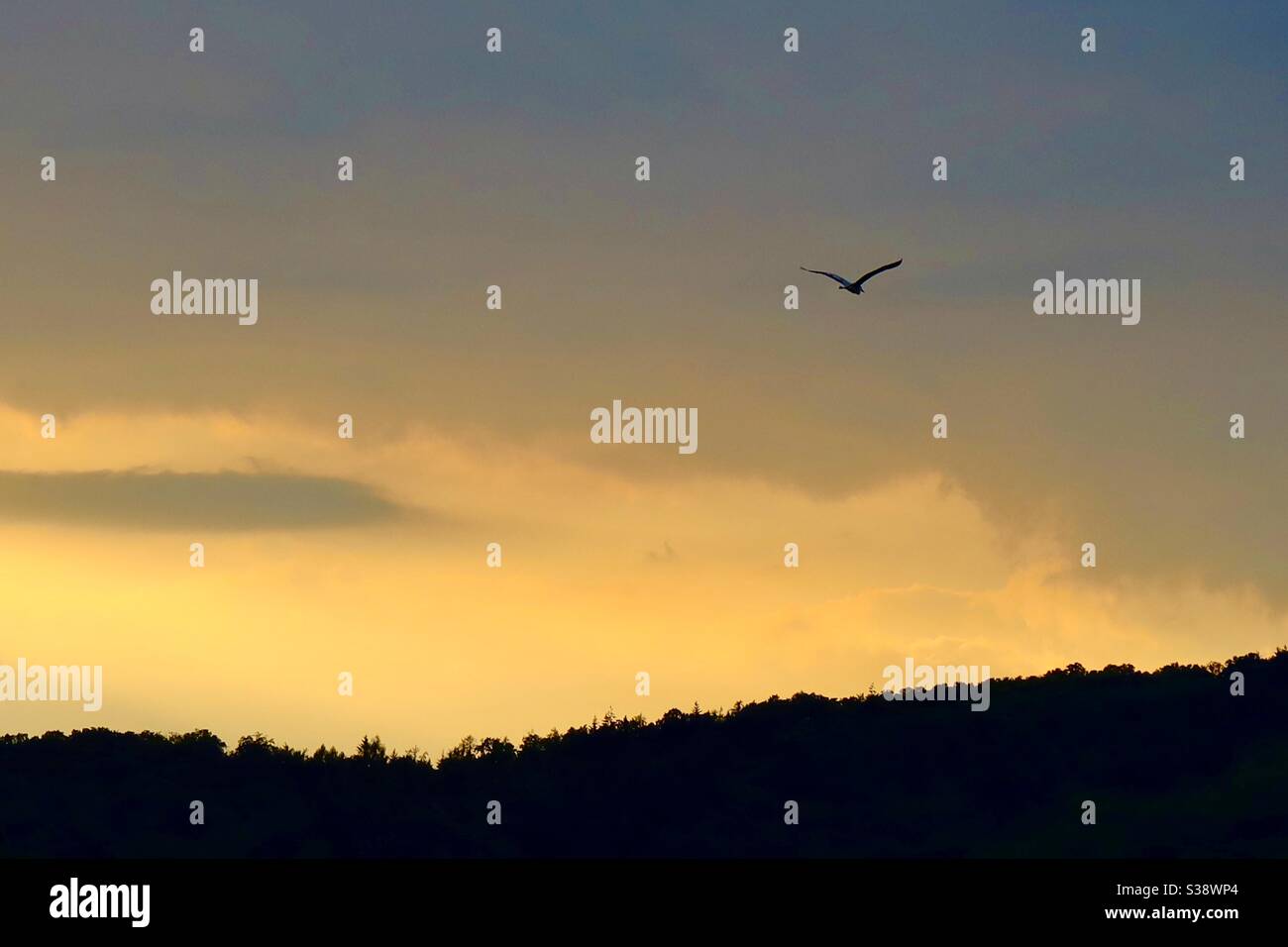 Nordindien sunset sky - Smartphone Captured Stock Image