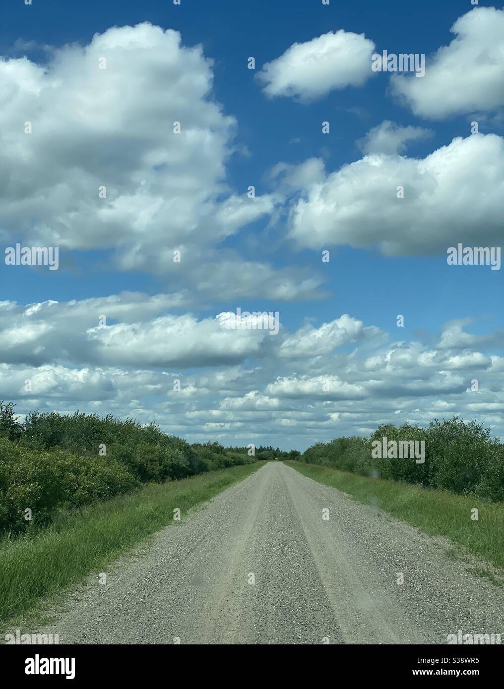 Lonely road, split decision, fork in the road, Stock Photo