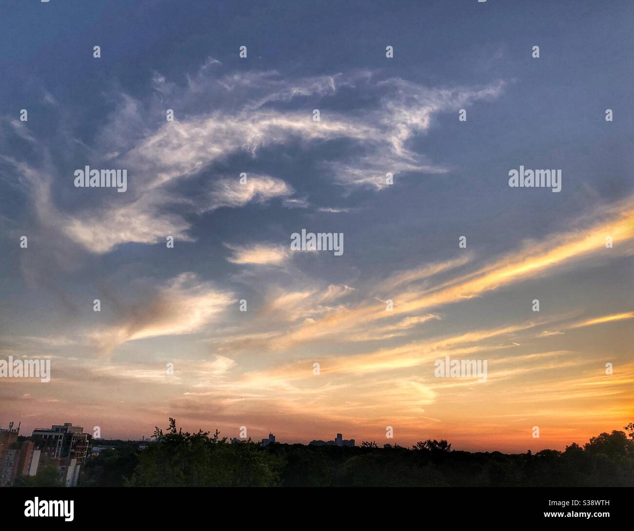 Beautiful night sky. Stock Photo