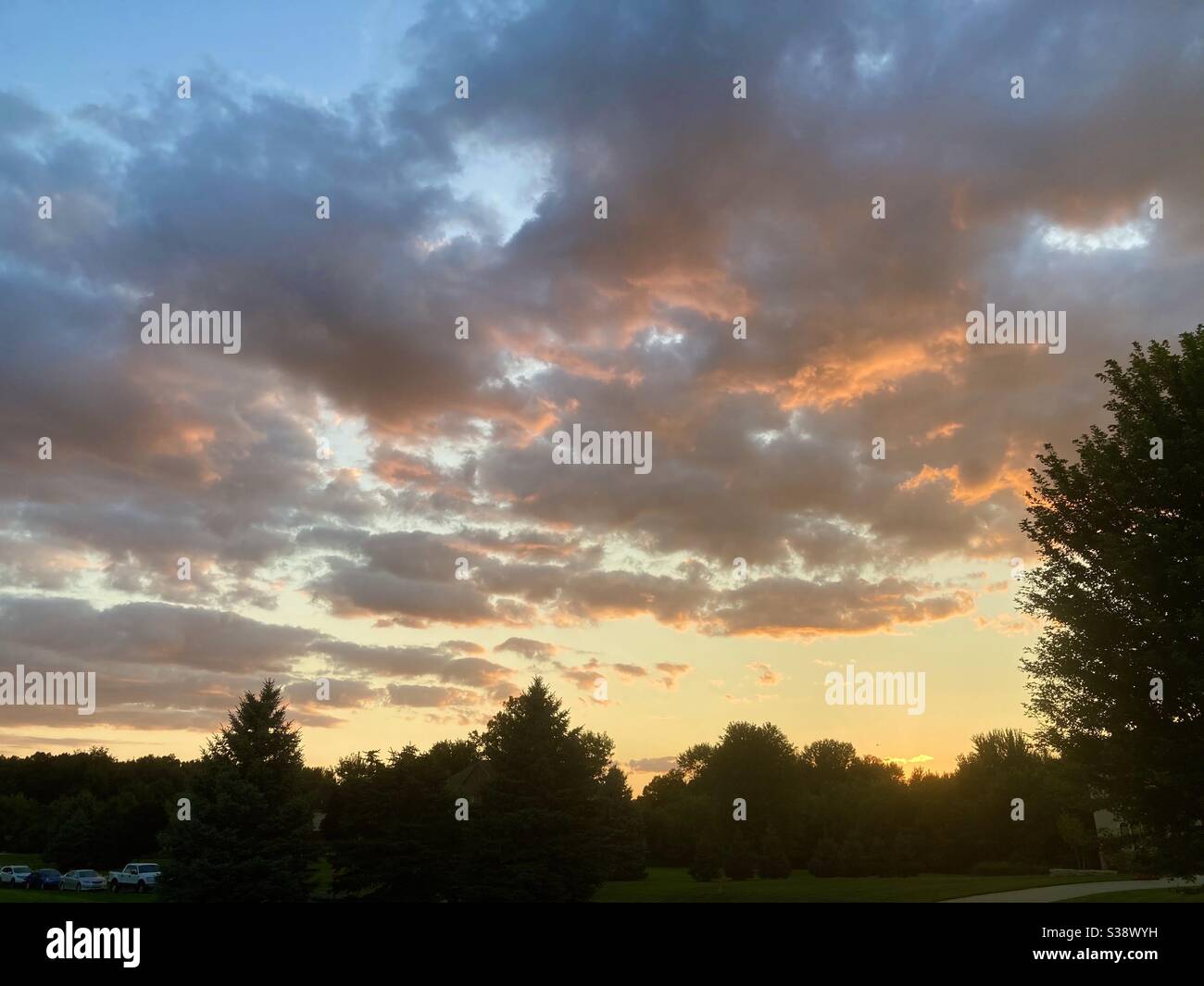 Sunset and trees - Smartphone Captured Stock Image