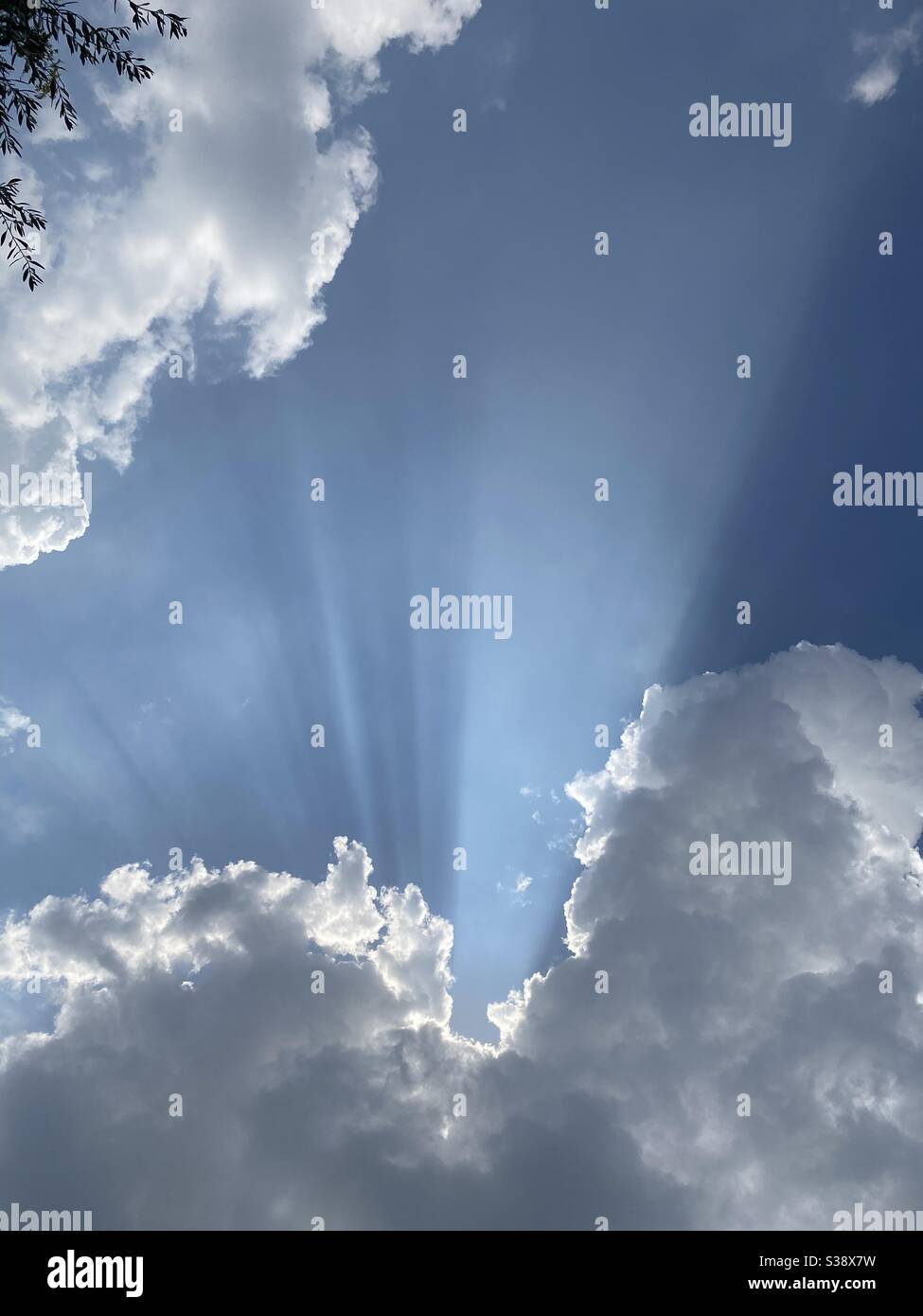 Suggestive Sky with sun beams coming out is a late afternoon, afternoon in a late summer day, emotional clouds with light, every cloud has a silver line, looking at the sky with trees Stock Photo
