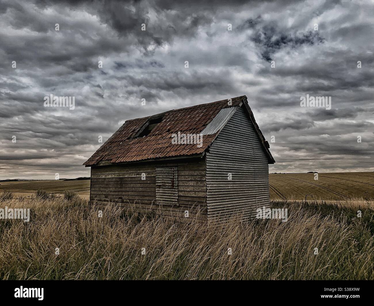 Abandoned metal and wooden shed or barn in field of long grass with dramatic cloudy sky - Smartphone Captured Stock Image