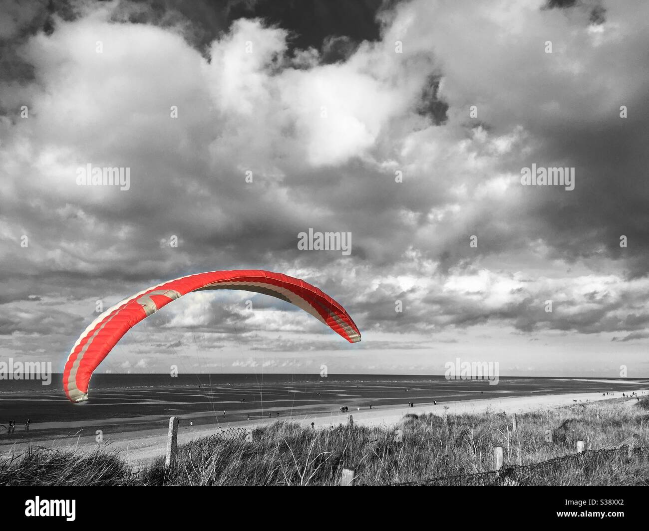Selective edit of a Paraglider canopy at Old Hunstanton beach. The canopy is red & grey and the background in mono Stock Photo