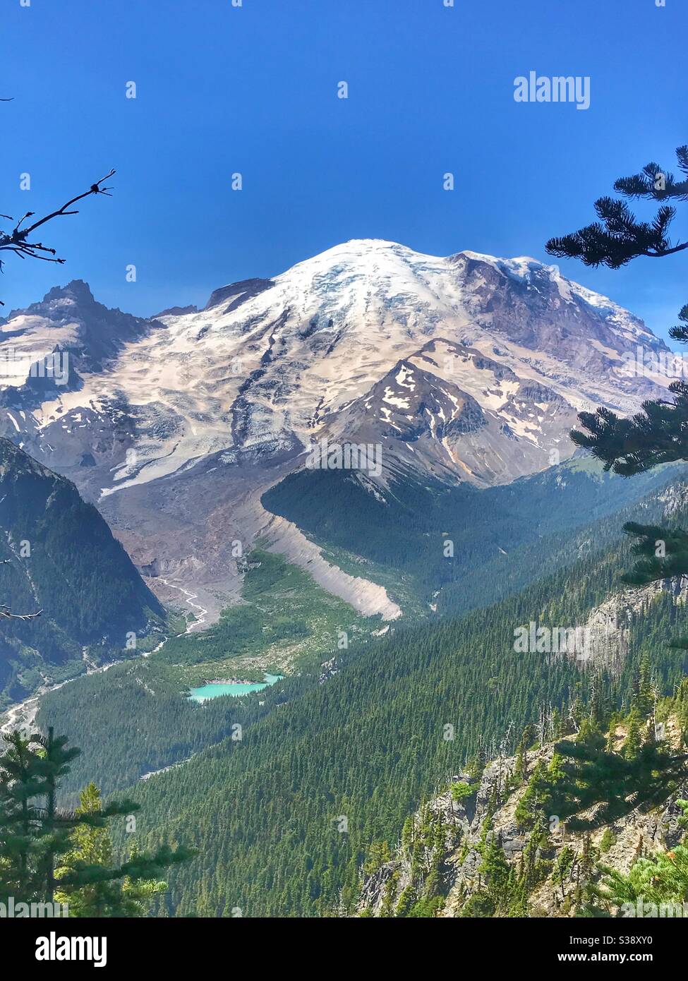 View from Sunrise lodge at Mount Rainer National Park, Washington State, USA - Smartphone Captured Stock Image