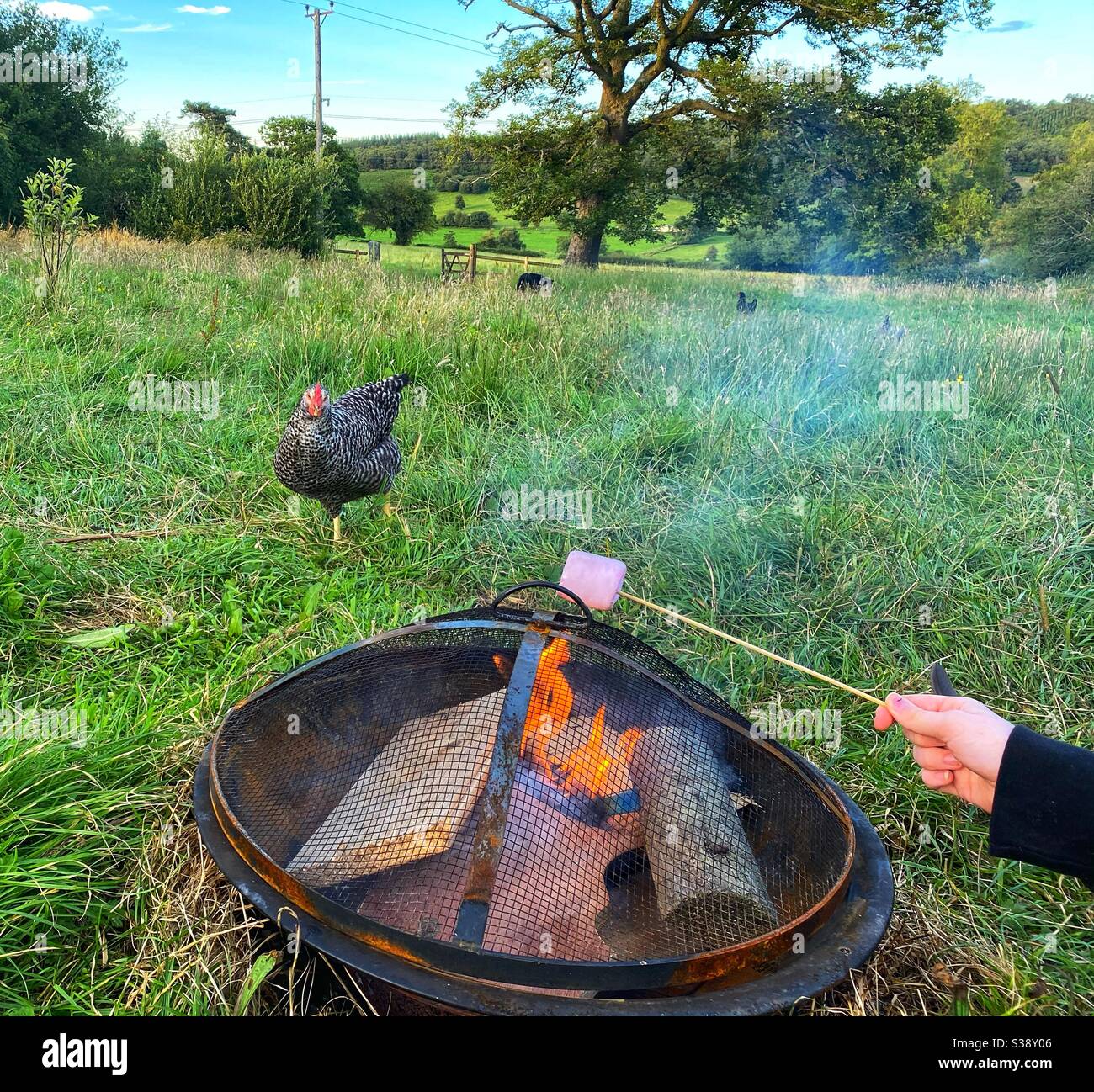 Marshmallow fire hires stock photography and images Alamy