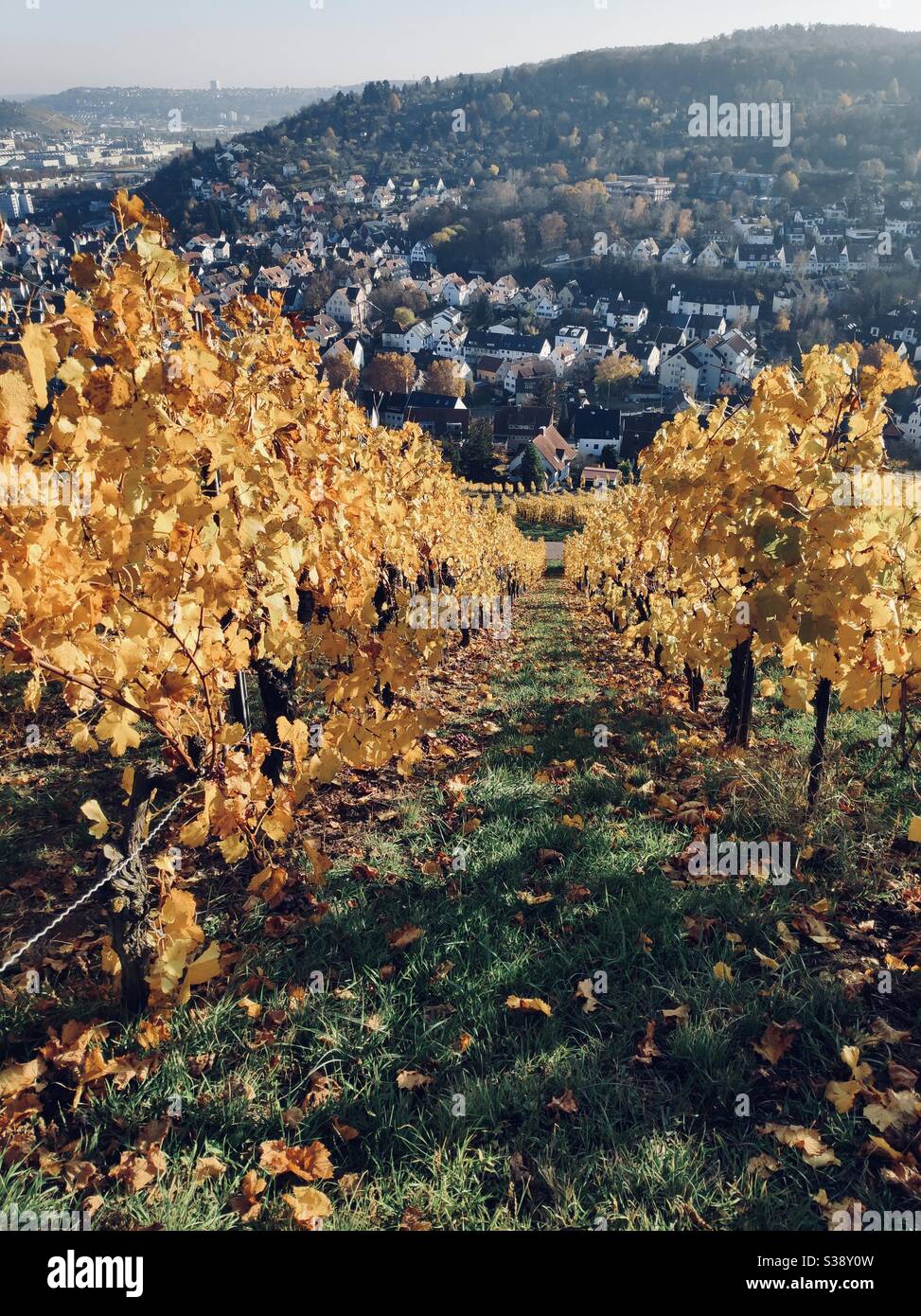 Autumn in stuttgart hi-res stock photography and images - Alamy