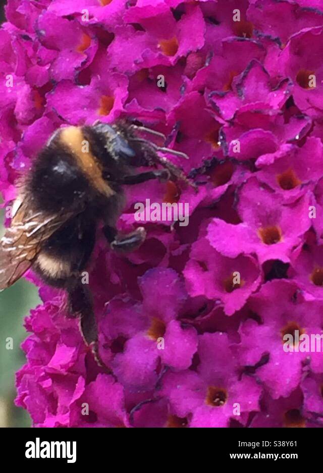 If I Could Just Climb Up Stock Photo Alamy