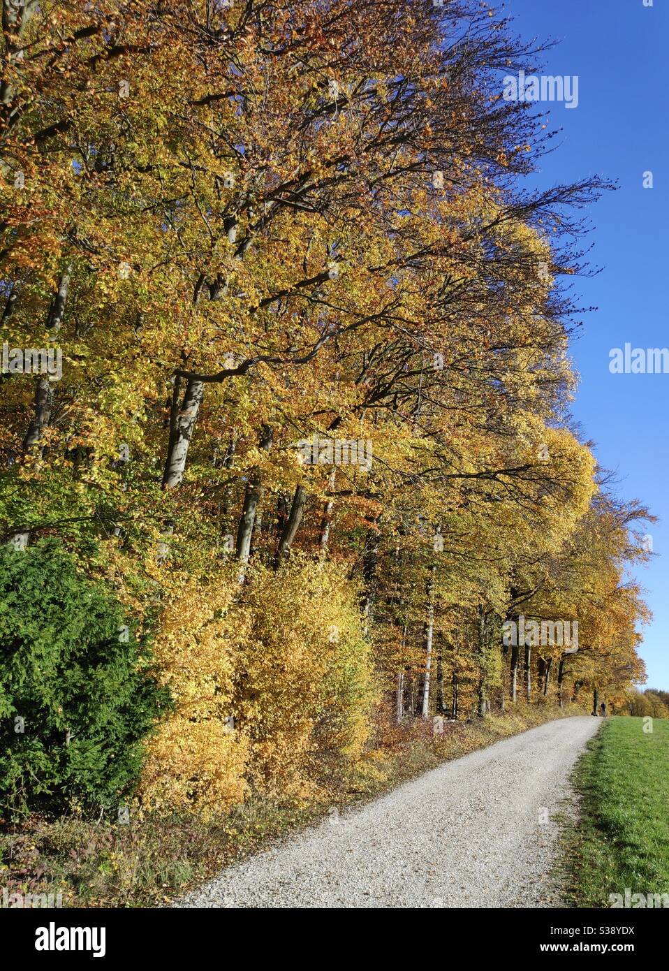 Autumn colors in Bielefeld, Germany Stock Photo