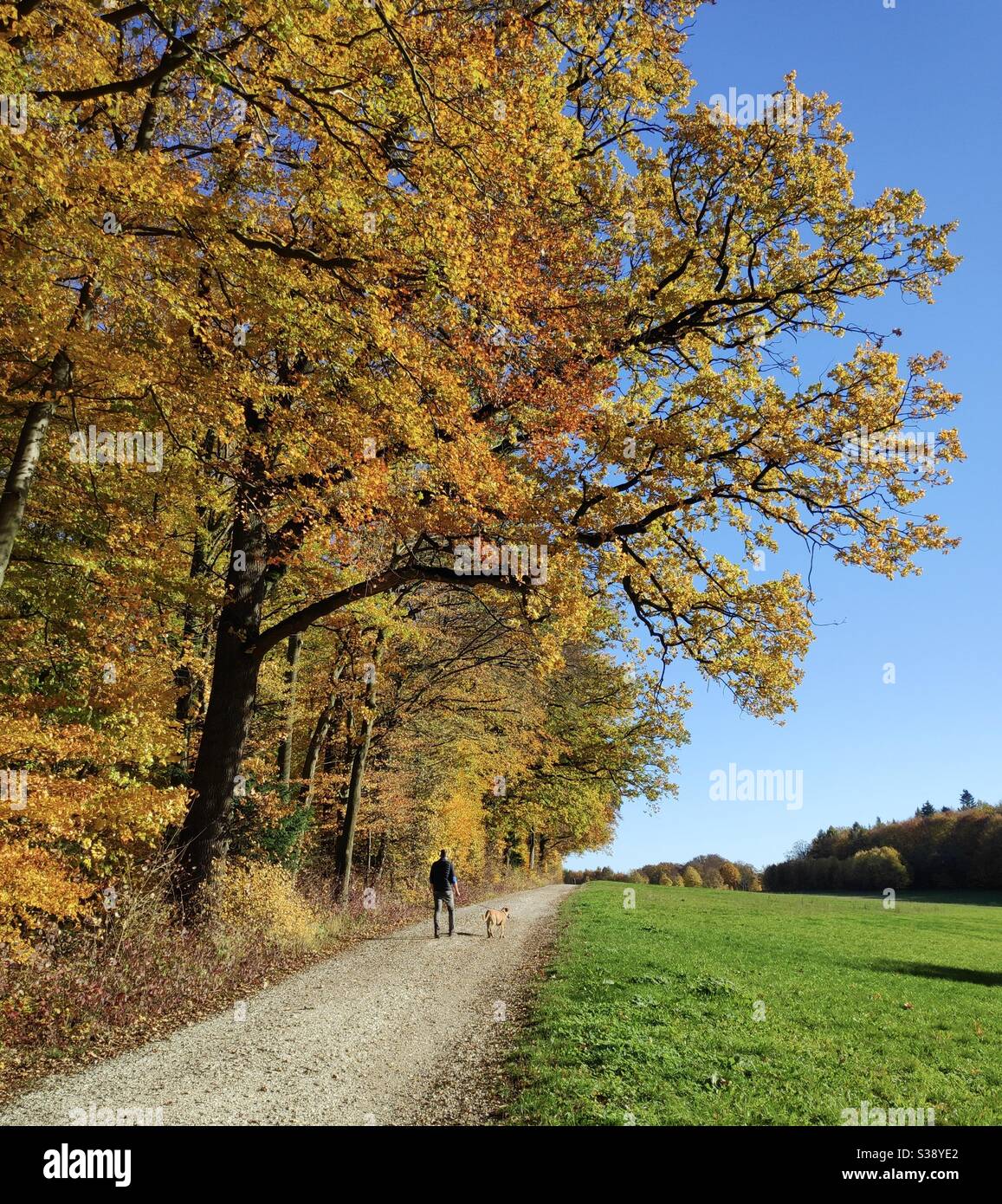 Autumn colors in Bielefeld, Germany Stock Photo
