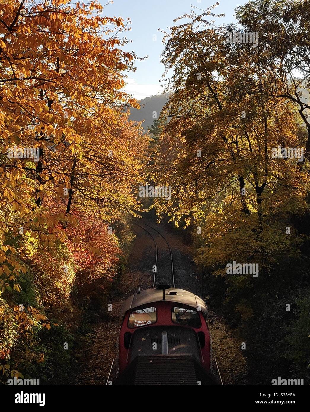 Autumn colors in Stuttgart, Germany - Smartphone Captured Stock Image