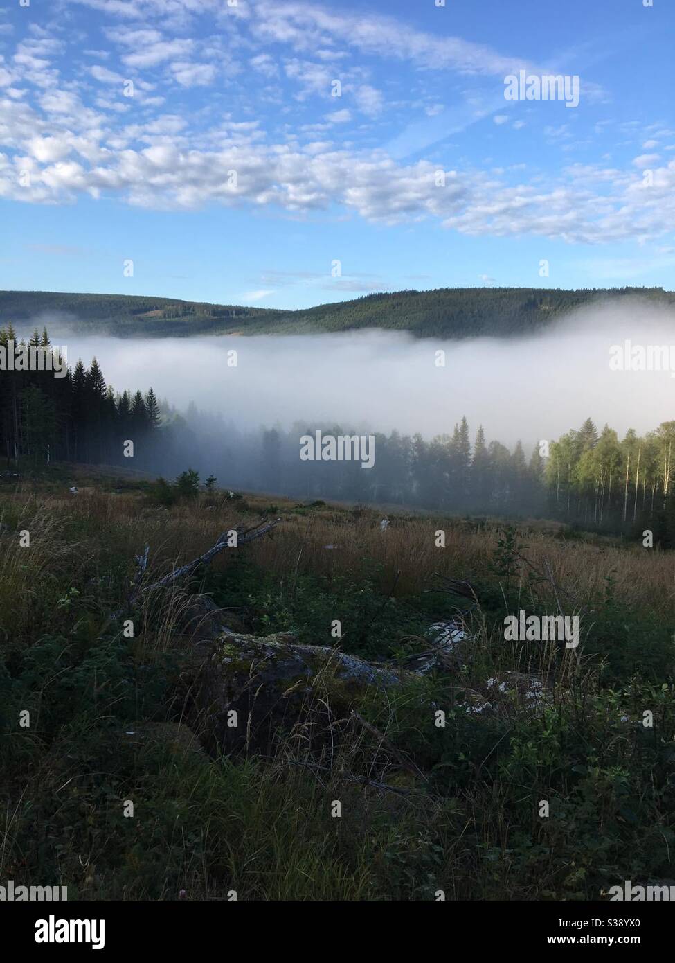 Fog over Klarälven Stock Photo