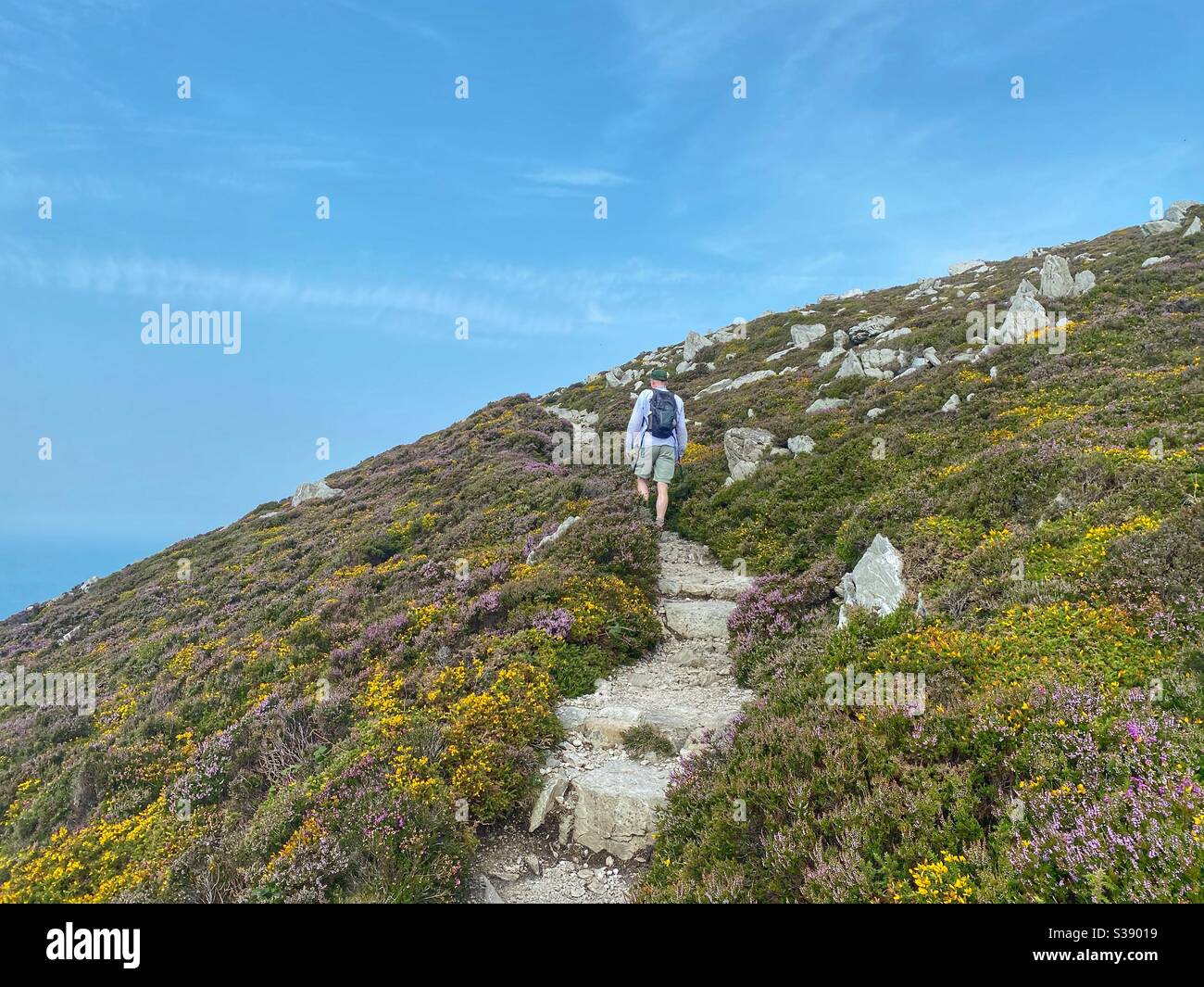Walker on the coastal path between South Stack and North Stack, Holyhead, Anglesey - Smartphone Captured Stock Image
