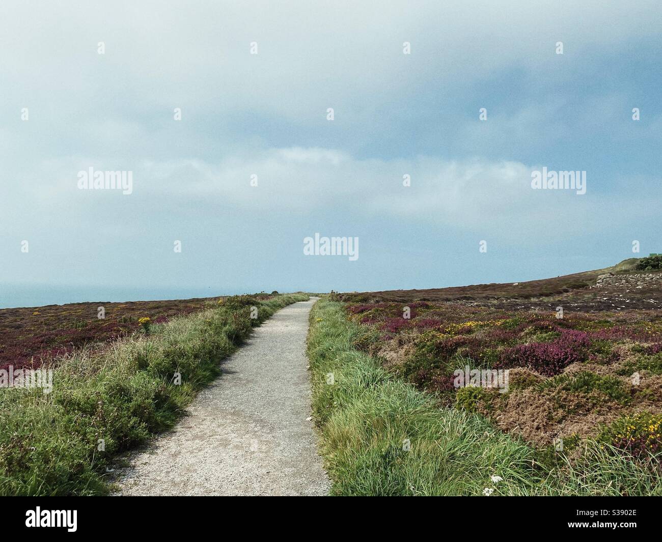 Landscape composition of path from car park to Ellin’s tower at South Stack, Anglesey, north wales, text space above - Smartphone Captured Stock Image