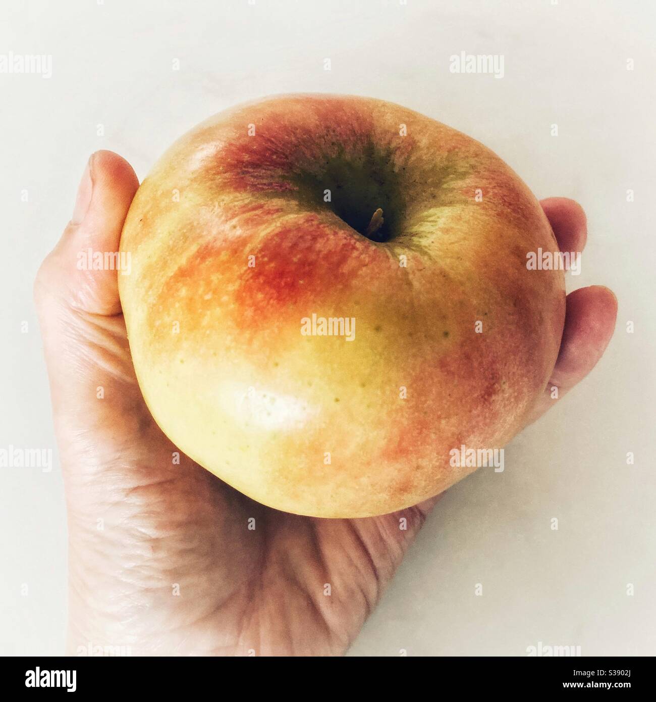 A hand holding a large apple Stock Photo