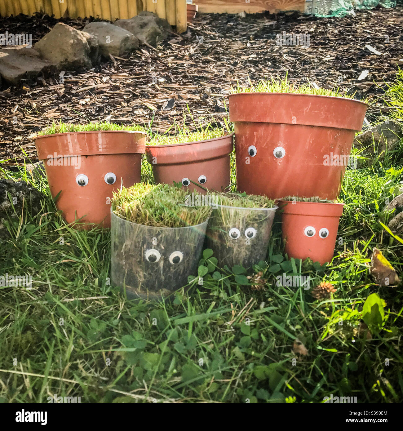 Plastic plant pots with googly eyes - Smartphone Captured Stock Image