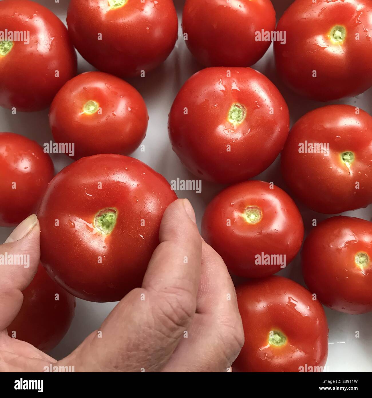 Man’s hand choosing and holding a tomato Stock Photo
