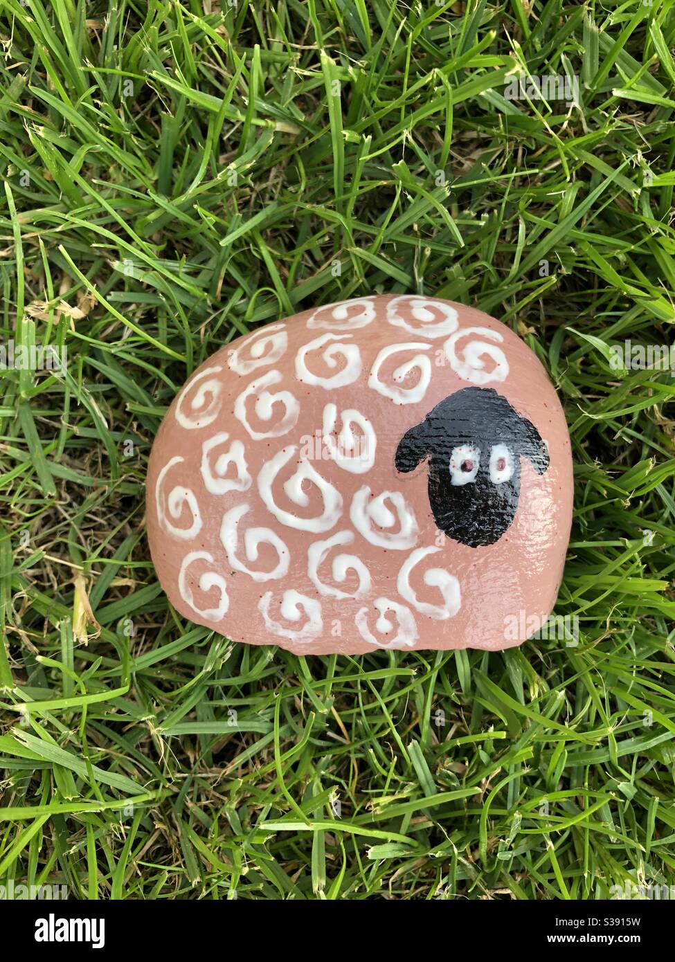 Painted Sheep High Resolution Stock Photography and Images - Alamy